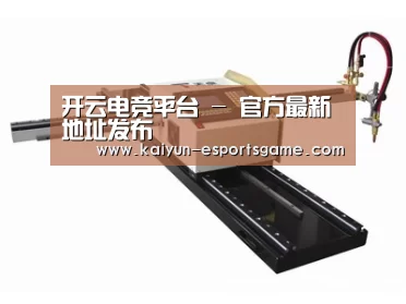 案例展示一