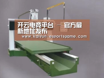 产品名称九