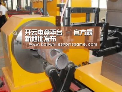 产品名称十三