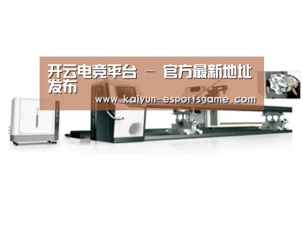 视频展示一