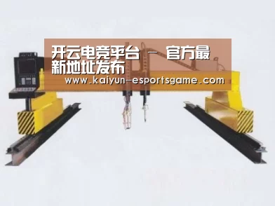 产品名称十九