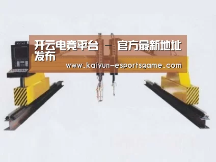 产品名称十七
