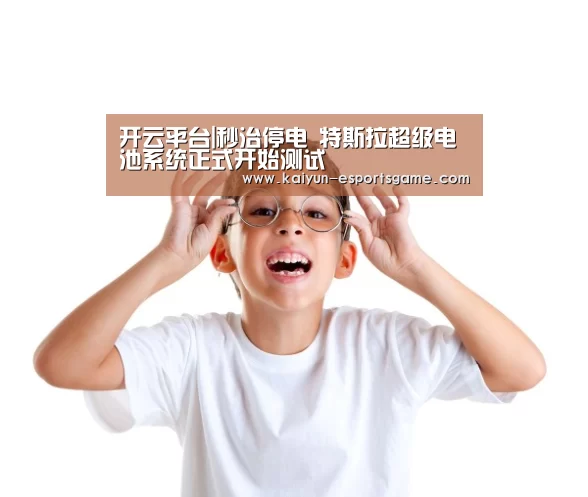 开云平台|秒治停电 特斯拉超级电池系统正式开始测试(图2) 开云官网