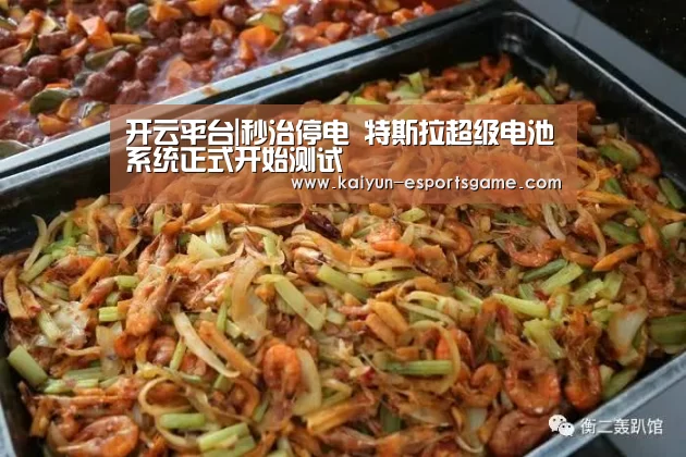 开云平台|秒治停电 特斯拉超级电池系统正式开始测试(图1) 开云入口