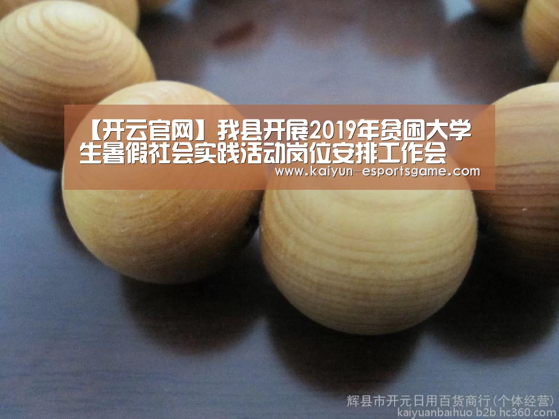 【开云官网】我县开展2019年贫困大学生暑假社会实践活动岗位安排工作会(图3) 开云入口