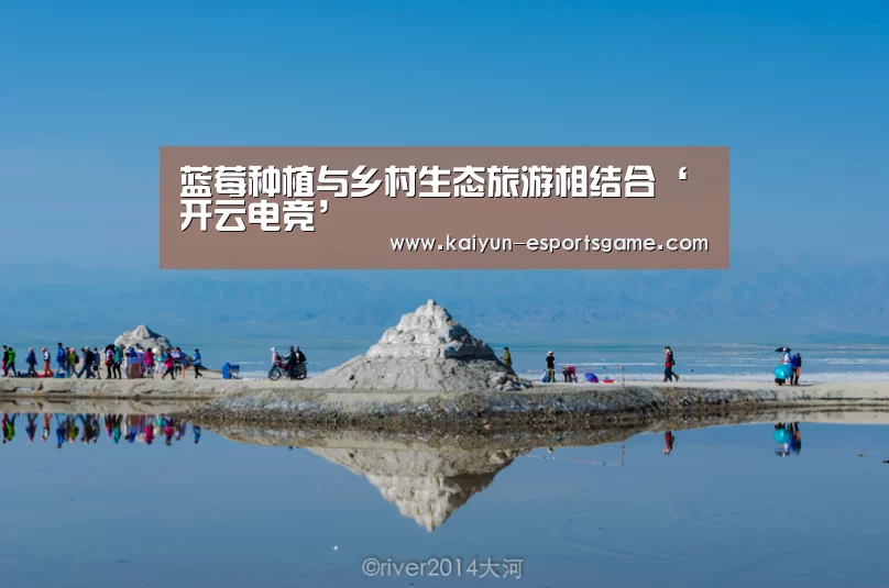 蓝莓种植与乡村生态旅游相结合‘开云电竞’(图3) 开云官网