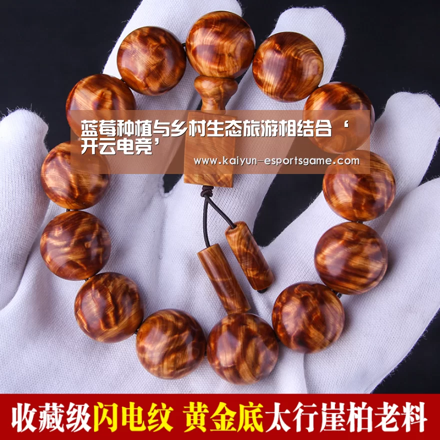 蓝莓种植与乡村生态旅游相结合‘开云电竞’(图2) 开云入口