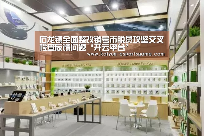 石龙镇全面整改销号市脱贫攻坚交叉检查反馈问题‘开云平台’(图4) 开云官网