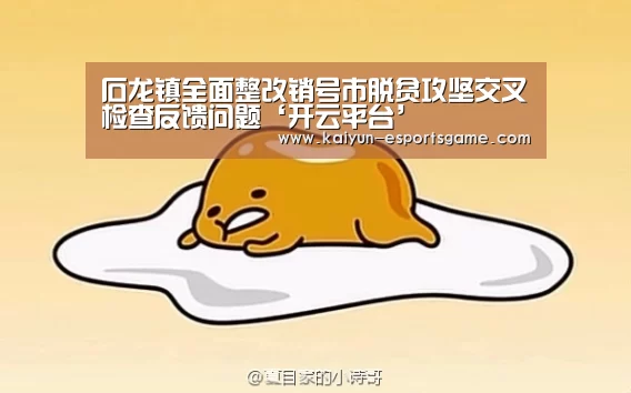 石龙镇全面整改销号市脱贫攻坚交叉检查反馈问题‘开云平台’(图3) 开云电竞