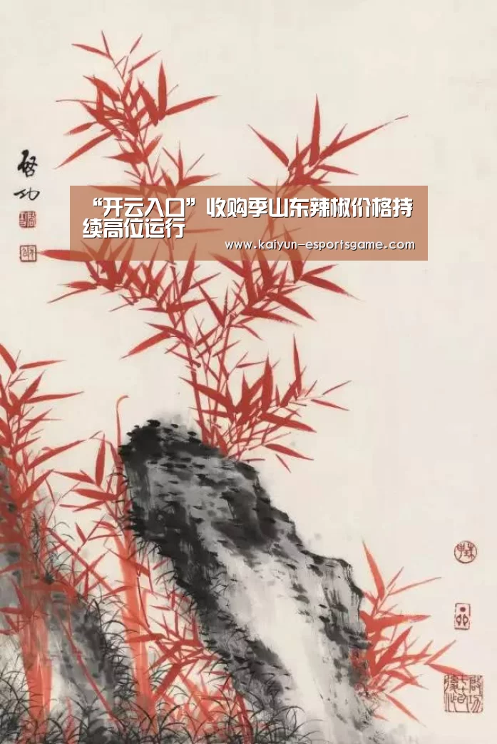 “开云入口”收购季山东辣椒价格持续高位运行(图3) 开云官网