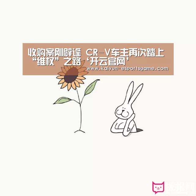 开云入口