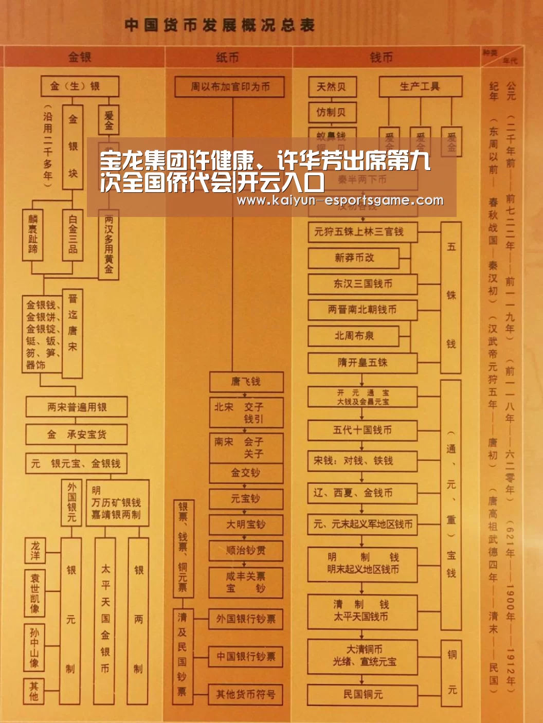 宝龙集团许健康、许华芳出席第九次全国侨代会|开云入口(图1) 开云电竞