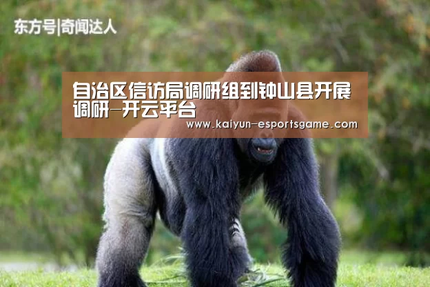 自治区信访局调研组到钟山县开展调研-开云平台(图1) 开云入口