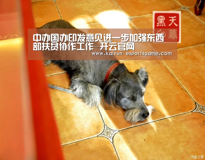 中办国办印发意见进一步加强东西部扶贫协作工作-开云官网(图2) 开云电竞