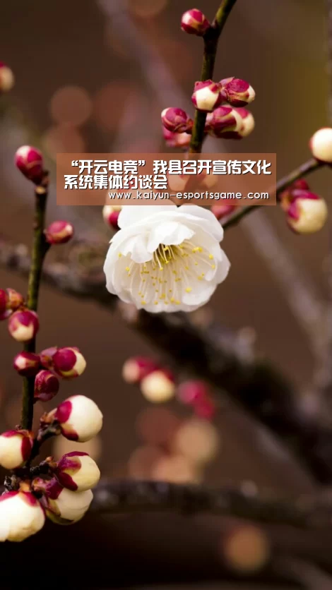 “开云电竞”我县召开宣传文化系统集体约谈会(图3) 开云官网