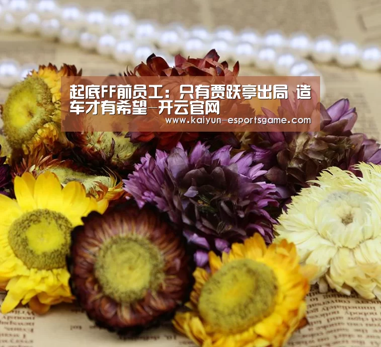 起底FF前员工:只有贾跃亭出局 造车才有希望-开云官网(图1) 开云入口