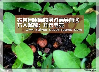 农村自建房楼层过高会有这六大弊端:开云电竞(图1) 开云入口