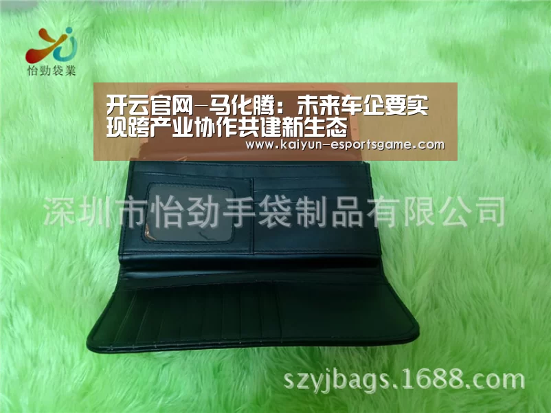开云入口